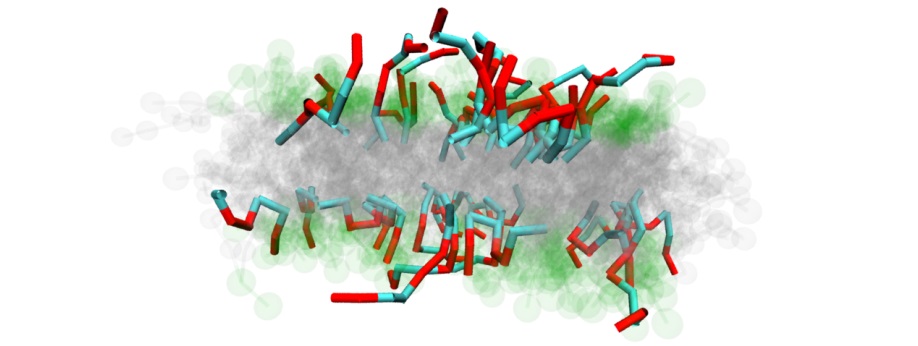 interaction of proteins with membranes