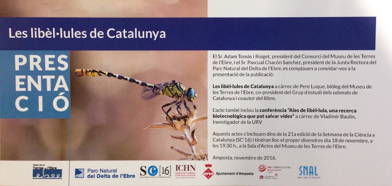 Open lecture on dragonflies research in Catalonia